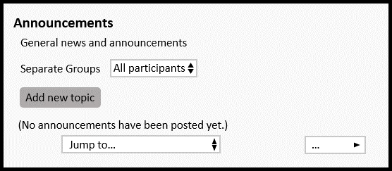 Interface of the announcements section. there is a drop down menu for separate groups. Under that, there is a button labelled "Add new topic"