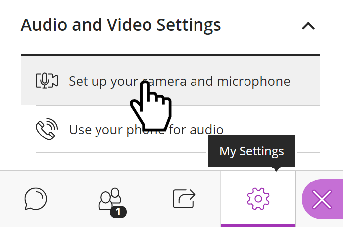 The Audio and Video Settings panel