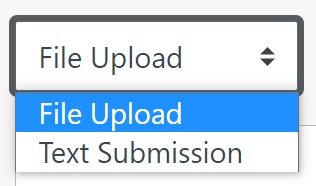 File upload option inside Turnitin (Feedback Studio) submission