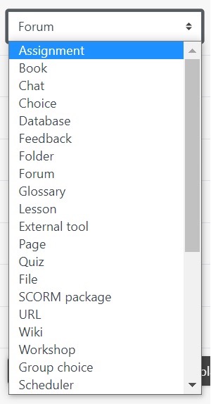 Single activity format options in a dropdown menu