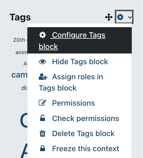 The Settings menu for the Tags block
